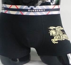 Burberry Cueca Box Boxer Underwears Burberry