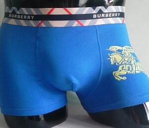 Burberry Cueca Box Boxer Underwears Burberry