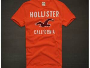 Camiseta Hollister