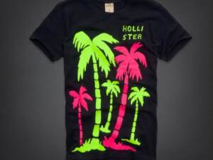 Camiseta Hollister
