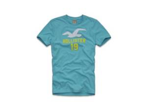 Camiseta Hollister